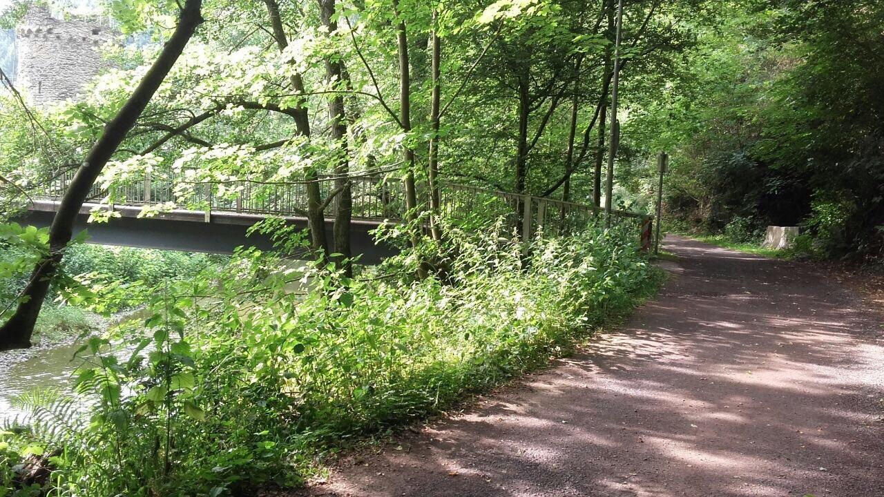 Ferienwohnungen "Am Fuerstenweg" Нойвід Екстер'єр фото